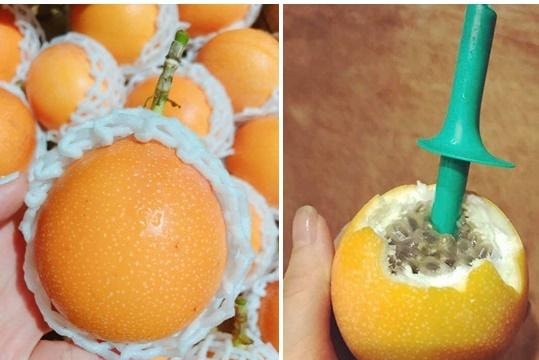 Kỳ lạ loại chanh leo có vị ngọt, giá hơn 100.000 đồng/quả