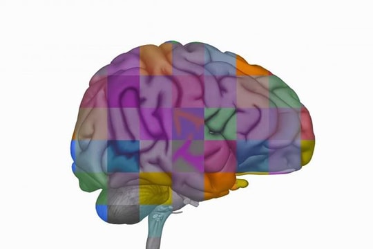 Đột phá y học: Phát hiện thuốc diệt u não ác tính