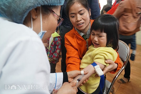 Ảnh: Phụ huynh đội mưa đưa con đi xét nghiệm sán lợn