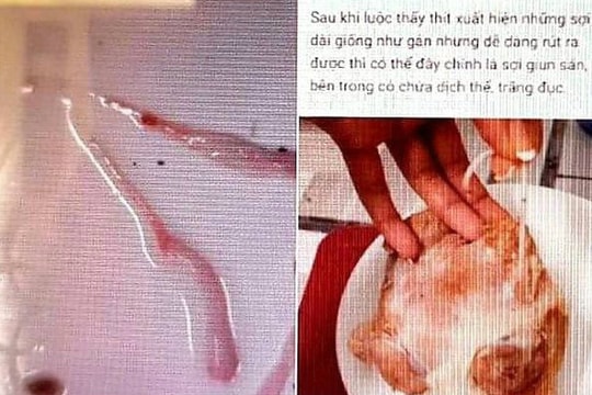 Đăng tin sai vụ sán lợn, chủ Facebook bị phạt 10 triệu đồng