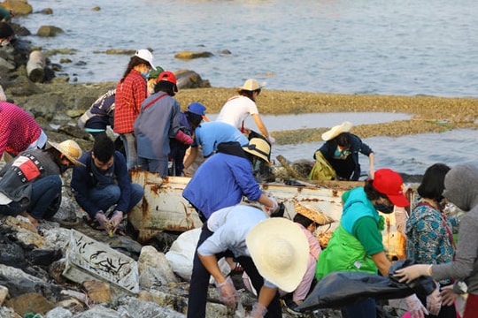 Ảnh, clip: Thanh niên phật tử ba miền chung tay dọn rác đảo Lý Sơn