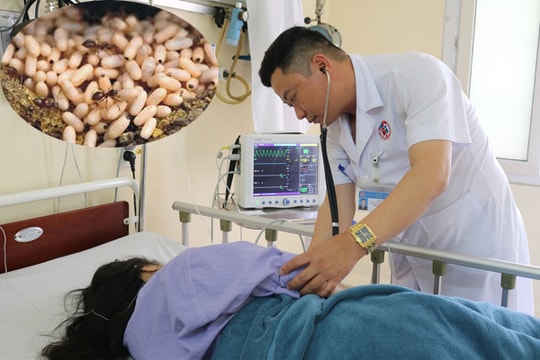 Một phụ nữ nhập viện nguy kịch sau khi ăn trứng kiến