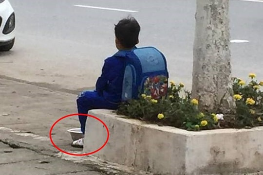 Dân mạng cười nghiêng ngả với câu chuyện cậu bé bỏ nhà đi vì bị mẹ mắng và quyết định bán cà chua kiếm sống