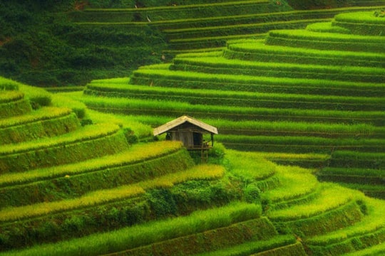 Ruộng bậc thang Mù Cang Chải lọt top những địa điểm sắc màu nhất thế giới