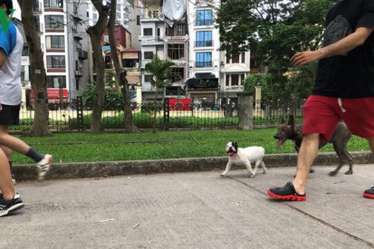 Nom nớp lo sợ khi chó không rọ mõm chạy rông trong công viên