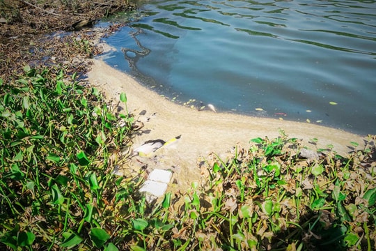 Sông Hàn ô nhiễm, bốc mùi hôi thối vì nước thải của nhà hàng