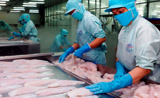 Cá tra Việt Nam bị Bộ Thương mại Mỹ áp thuế chống bán phá giá
