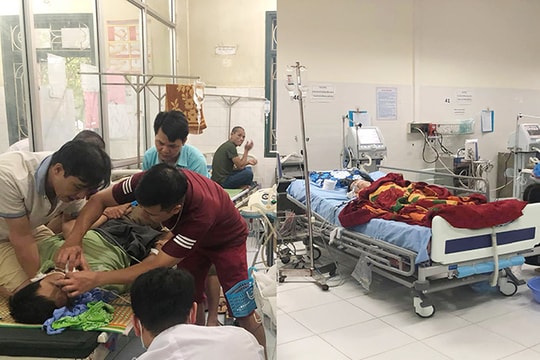 Nhầm lá ngón với rau ngót rừng, 4 người nguy kịch