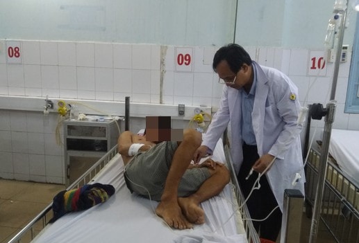 Ăn cá nóc chiên, 4 người trong một gia đình nguy kịch