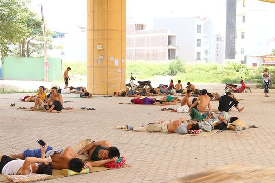 Ảnh: Gầm cầu vượt thành nơi trốn nắng của người dân lao động ở Hà Nội