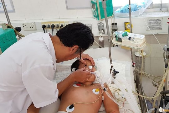 Liên tiếp nhiều trường hợp mắc viêm não Nhật Bản, bác sĩ cảnh báo nguy hiểm