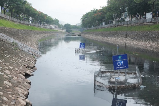 Ảnh: Sông Tô Lịch sau hơn 10 ngày đặt máy sục khí công nghệ Nhật Bản