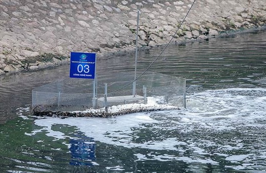 Ảnh: Sông Tô Lịch sau hơn 10 ngày thí điểm làm sạch bằng công nghệ Nhật Bản