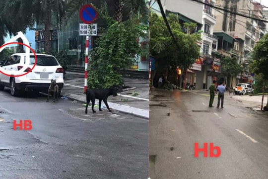 Công an phong tỏa cả tuyến đường để bắt 3 con chó dữ không rọ mõm