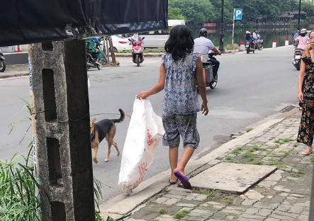 Câu chuyện "bà điên" suốt ngày nhặt rác khiến nhiều người phải suy ngẫm