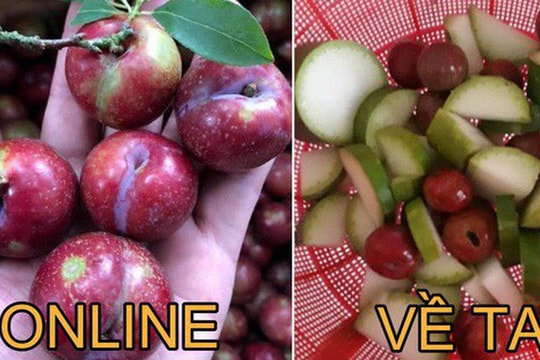 Màn "bóc phốt" mua mận online bị “độn” toàn bầu bí gây xôn xao MXH