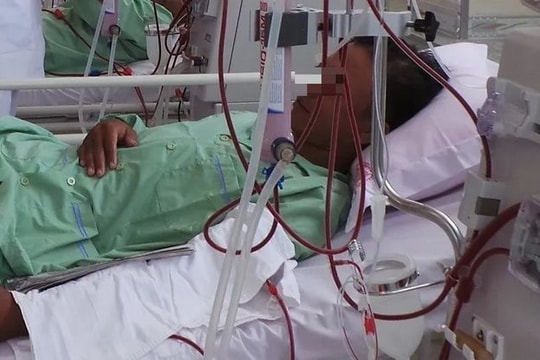 Người đàn ông suýt mất mạng vì ăn mật cá éc