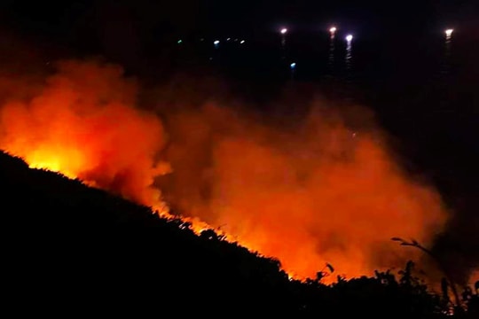 Cháy lớn ở bán đảo Sơn Trà, hàng trăm người tích cực chữa cháy trong đêm