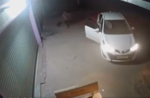 Clip trộm chó bằng xe ô tô giữa đêm khiến dân mạng bức xúc