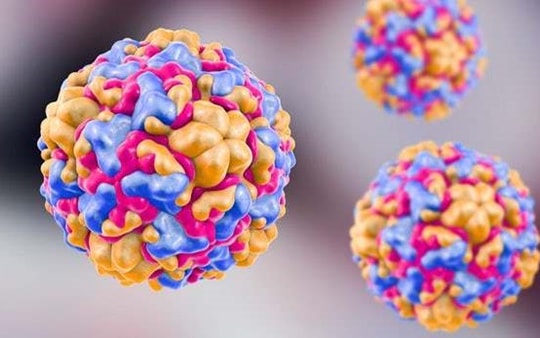 Tế bào ung thư sẽ bị tiêu diệt nhờ căn bệnh nhẹ mà người Việt ai cũng mắc phải