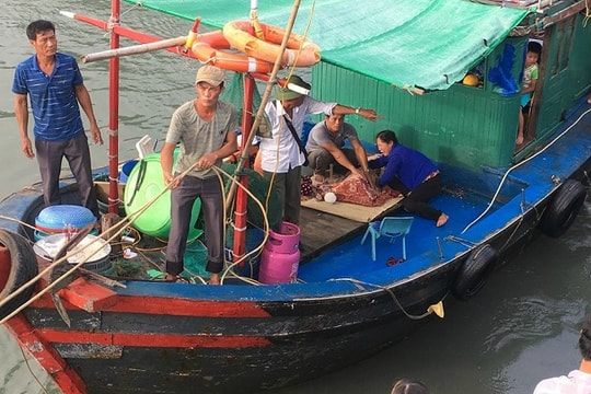 Đã tìm thấy thi thể bé trai 4 tuổi bị trượt chân rơi xuống biển mất tích