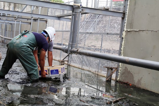 Hoãn công bố kết quả làm sạch sông Tô Lịch do ảnh hưởng việc xả nước từ hồ Tây