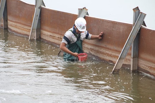 Ảnh: Nước Hồ Tây biến sắc sau thí điểm làm sạch bằng công nghệ Nhật Bản