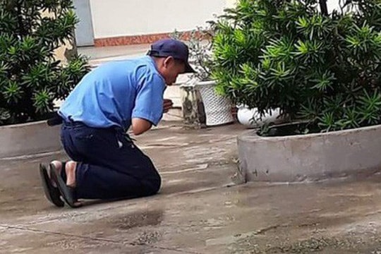 Câu chuyện bác bảo vệ quỳ ở sân trường cầu cho học sinh đỗ tốt nghiệp 100% "gây bão" MXH