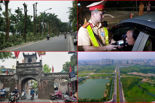 Ảnh trong tuần: Hoa sữa hồ Tây khử mùi rác Nam Sơn