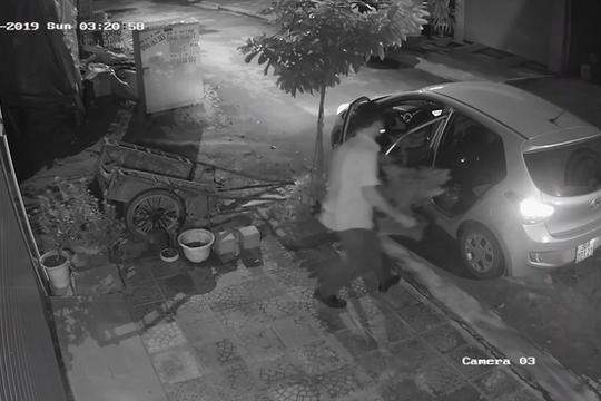 Clip: Người đàn ông đi xế hộp bê trộm chậu mai lúc rạng sáng