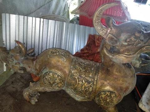 Xác minh nhóm người thả tượng hai đầu xuống biển ở Cà Mau