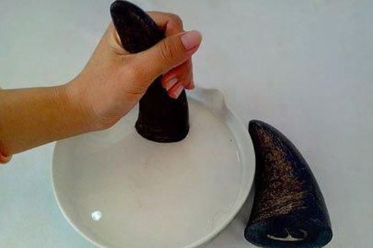 Uống bột mài sừng tê giác chữa co giật, bé gái 2 tuổi nguy kịch