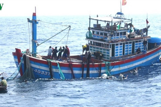5 tàu cá bị nạn, một ngư dân rơi xuống biển mất tích