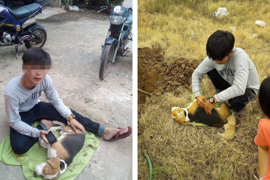 Hình ảnh nam thanh niên khóc nghẹn bên chú chó đã chết khiến nhiều người thương cảm