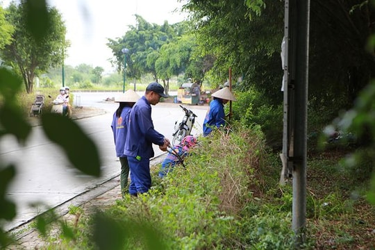 Ảnh: Công nhân phát quang bụi rậm tại chung cư từng xuất hiện rắn độc