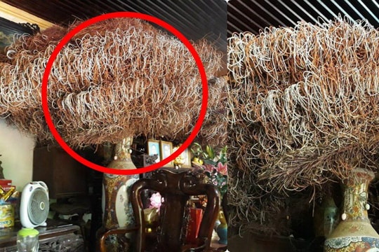 Dân mạng xuýt xoa với bát hương khổng lồ, rồi lo lắng vì một nguy cơ