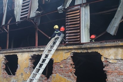 Cổ phiếu của Công ty CP Bóng đèn Rạng Đông bị bán tháo ngay sau vụ cháy