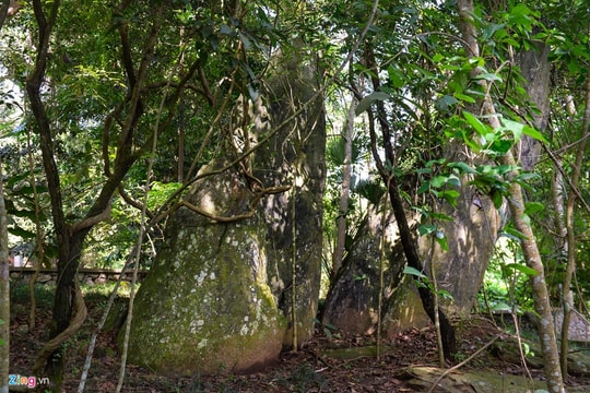 Ảnh: Thăm di tích K9 - căn cứ địa của Chủ tịch Hồ Chí Minh