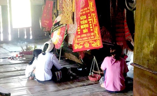 Bắt tổ ong rừng, người đàn ông bị ong đốt tử vong