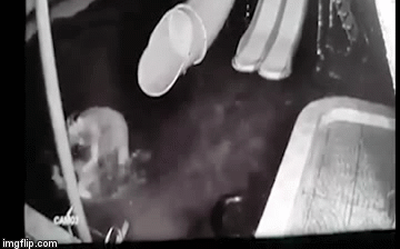 Kinh hoàng clip: Chồng bóp cổ, giật tóc, dìm vợ xuống nước trước mặt con nhỏ