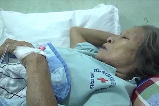 9 người nhập viện cấp cứu vì ong vò vẽ tấn công