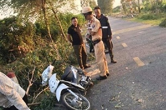 Cây đang cưa đổ xuống đường khiến 1 nữ sinh tử vong thương tâm