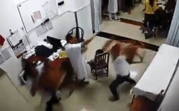 Xôn xao clip người nhà bệnh nhân cầm ghế lao vào đánh nhau với bác sĩ
