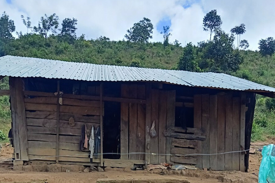 Bắt khẩn cấp cha dượng có hành vi đồi bại với con riêng của vợ