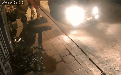 Clip: Đi ô tô bưng trộm chậu hoa sứ giữa đêm, người đàn ông bị dân mạng lên án gay gắt