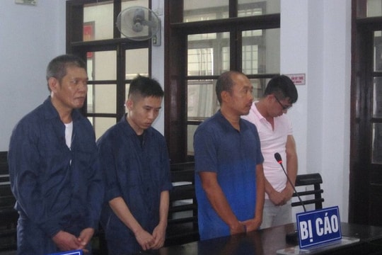 Môi giới khách Nga bán dâm, nhóm 4 "tú ông" lãnh án