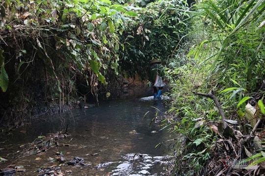 Ảnh: Mùi dầu khét lẹt ở đồi Mông, nơi xả thải xuống nhà máy nước sông Đà