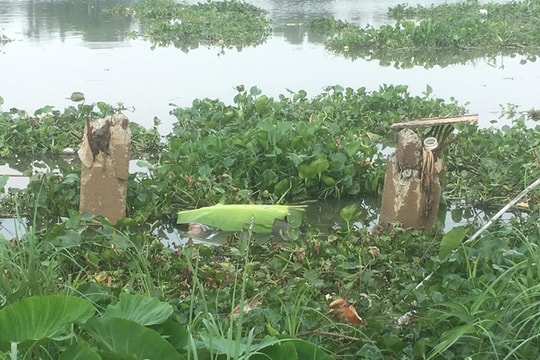 Tá hỏa phát hiện thi thể nam thanh niên đang phân hủy nổi trên sông
