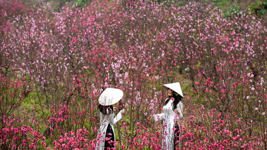 Chính thức ban hành lịch Tết Nguyên đán Canh Tý 2020