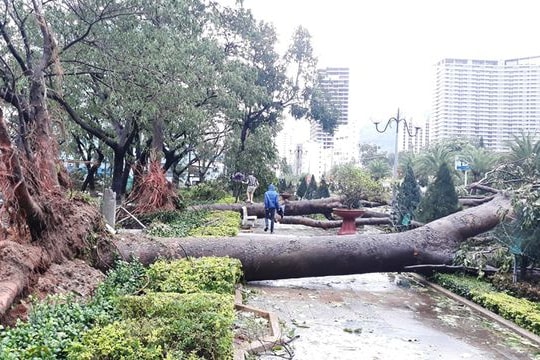 Ảnh: Khung cảnh ngổn ngang sau bão số 5